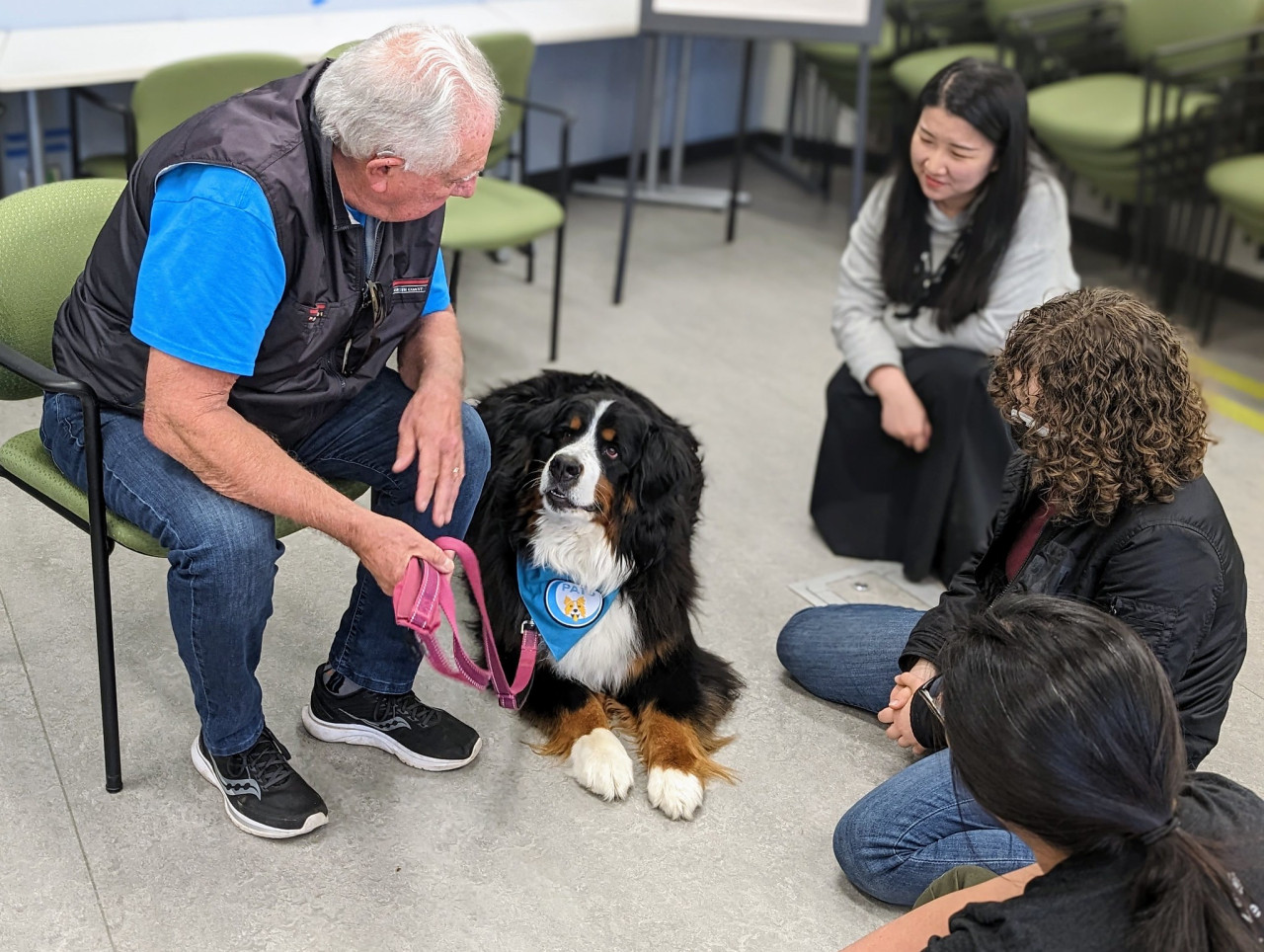 Animal therapy for anxiety best sale